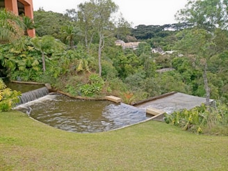 A tiered water feature is integrated into a lush, green landscape, flowing over man-made edges and surrounded by various tropical plants. In the background, dense forest vegetation and a few residential buildings are visible. The area exudes a serene and natural atmosphere.