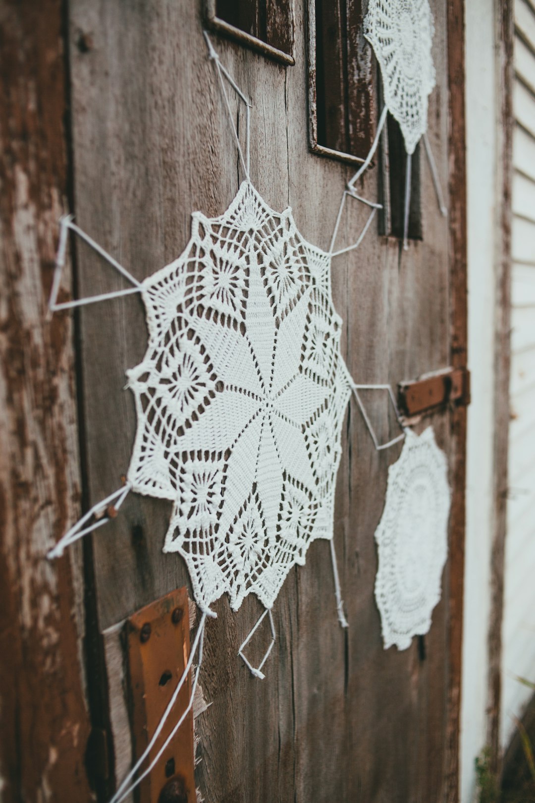 white spider web on brown wooden wall