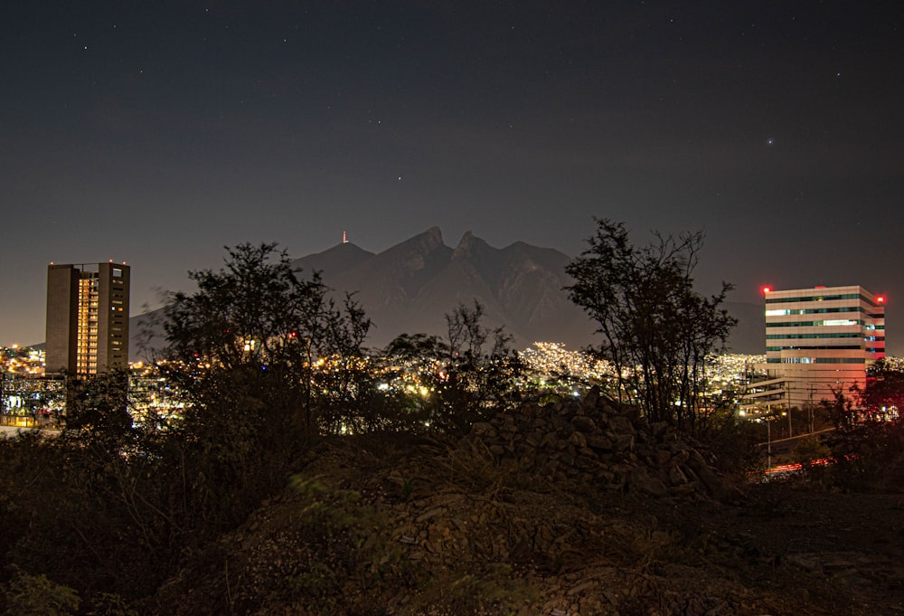 green trees and plants near mountain during night time