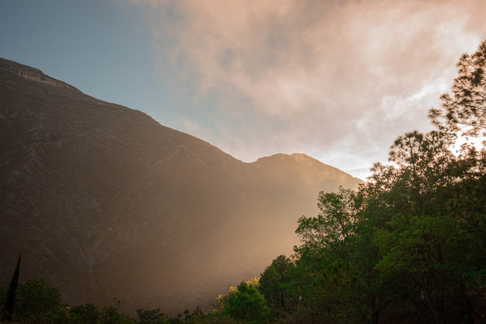 green trees near mountain during daytime