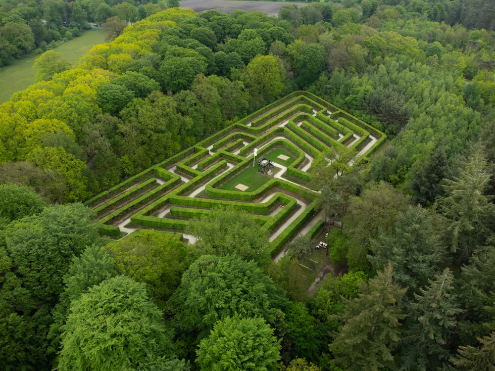 aerial view of green trees during daytime