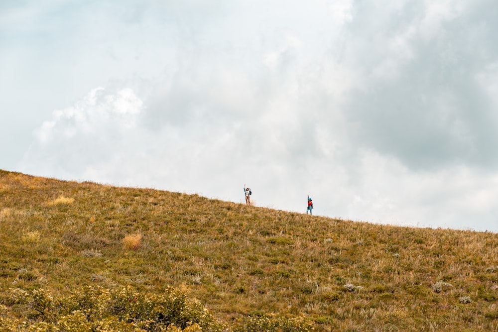 people walking on green grass field under white clouds during daytime