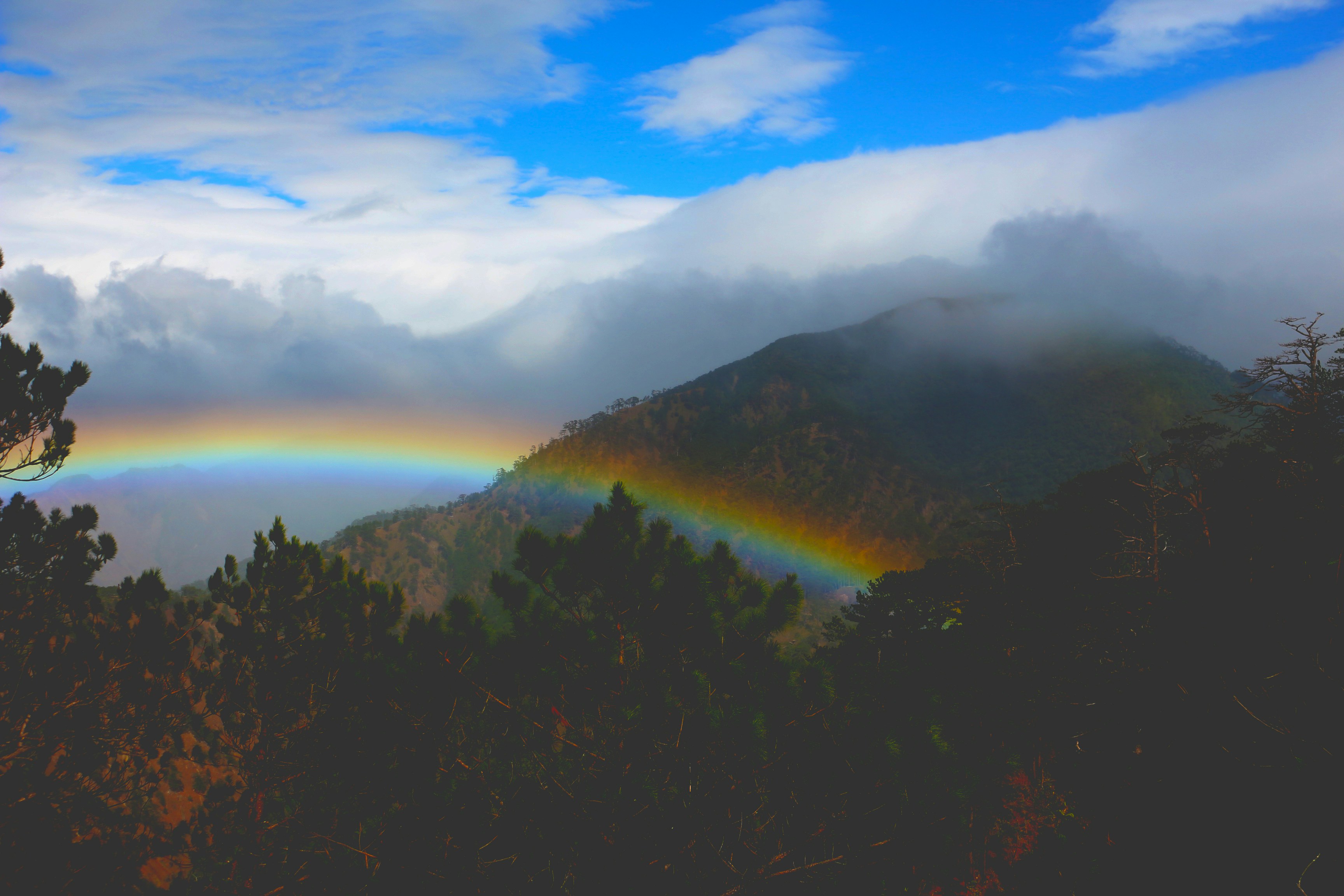 Mia Gracia Tabili (@miagraciatabs) | Komunitas Foto Unsplash