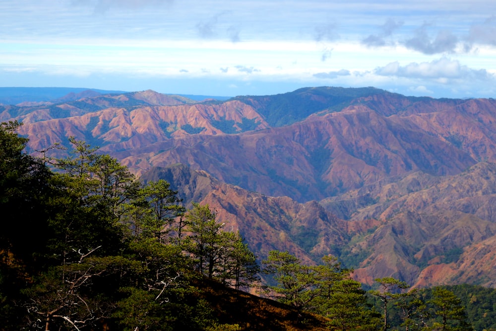 green trees on mountain under white clouds during daytime