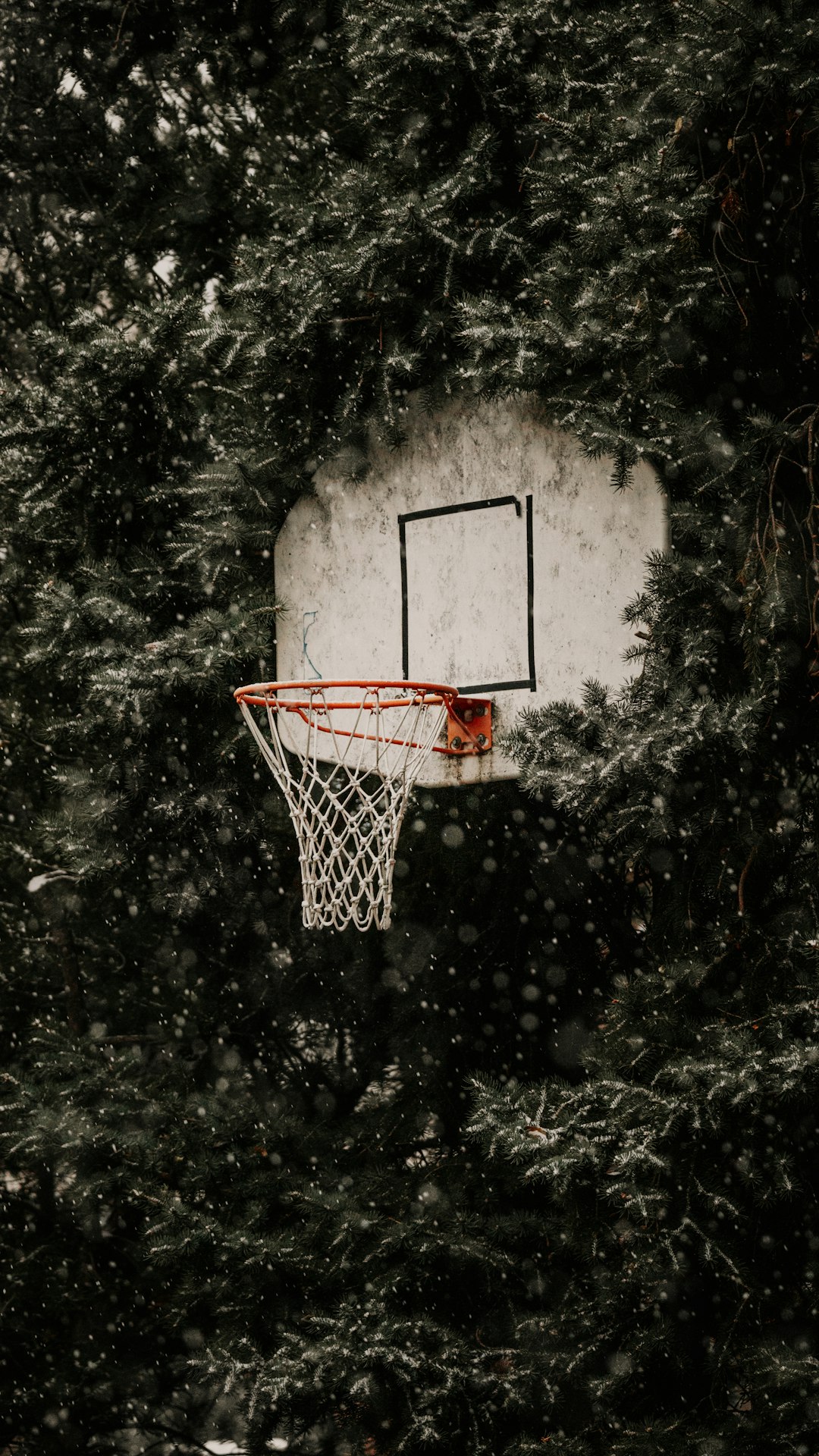 red and white basketball hoop