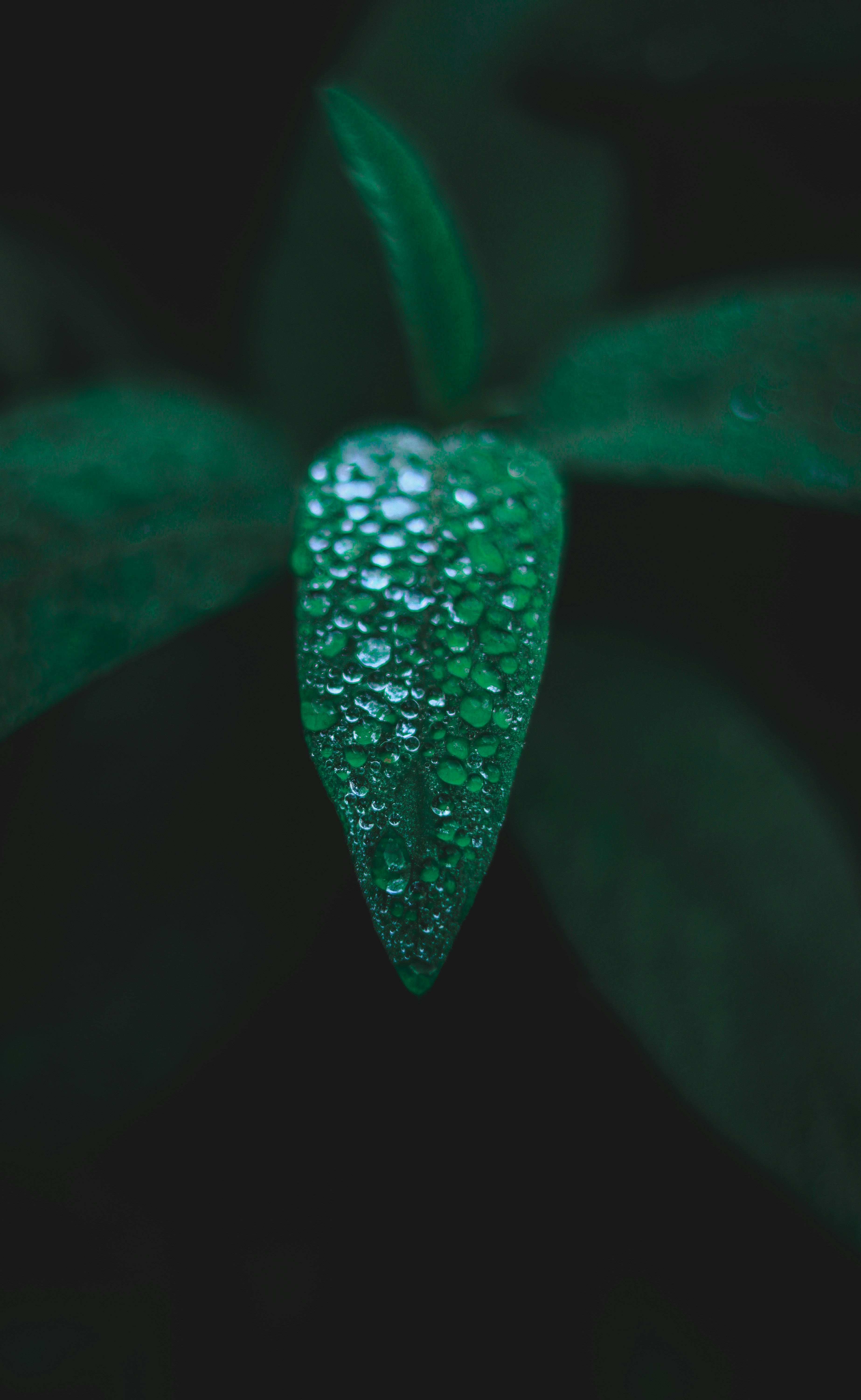 Photo by gabrielfotos