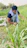 A happy gardener kneeling beside lush green vegetable plants under a sunny sky.