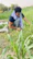 A happy gardener kneeling beside lush green vegetable plants under a sunny sky.