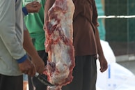 Several people handling a large piece of meat, possibly part of an animal carcass, with one person holding a knife. The setting appears to be an outdoor area, and there are plastic bags or containers in the background. The people involved are wearing casual clothing.