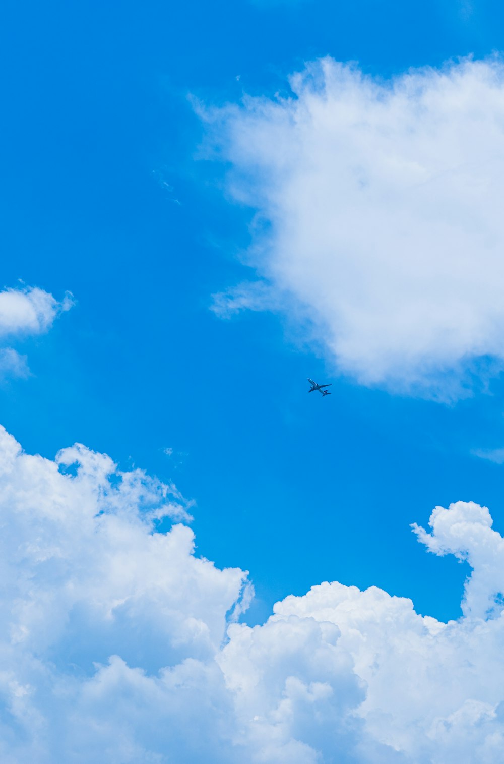 昼間の青空と白い雲の下、空中を飛ぶ飛行機