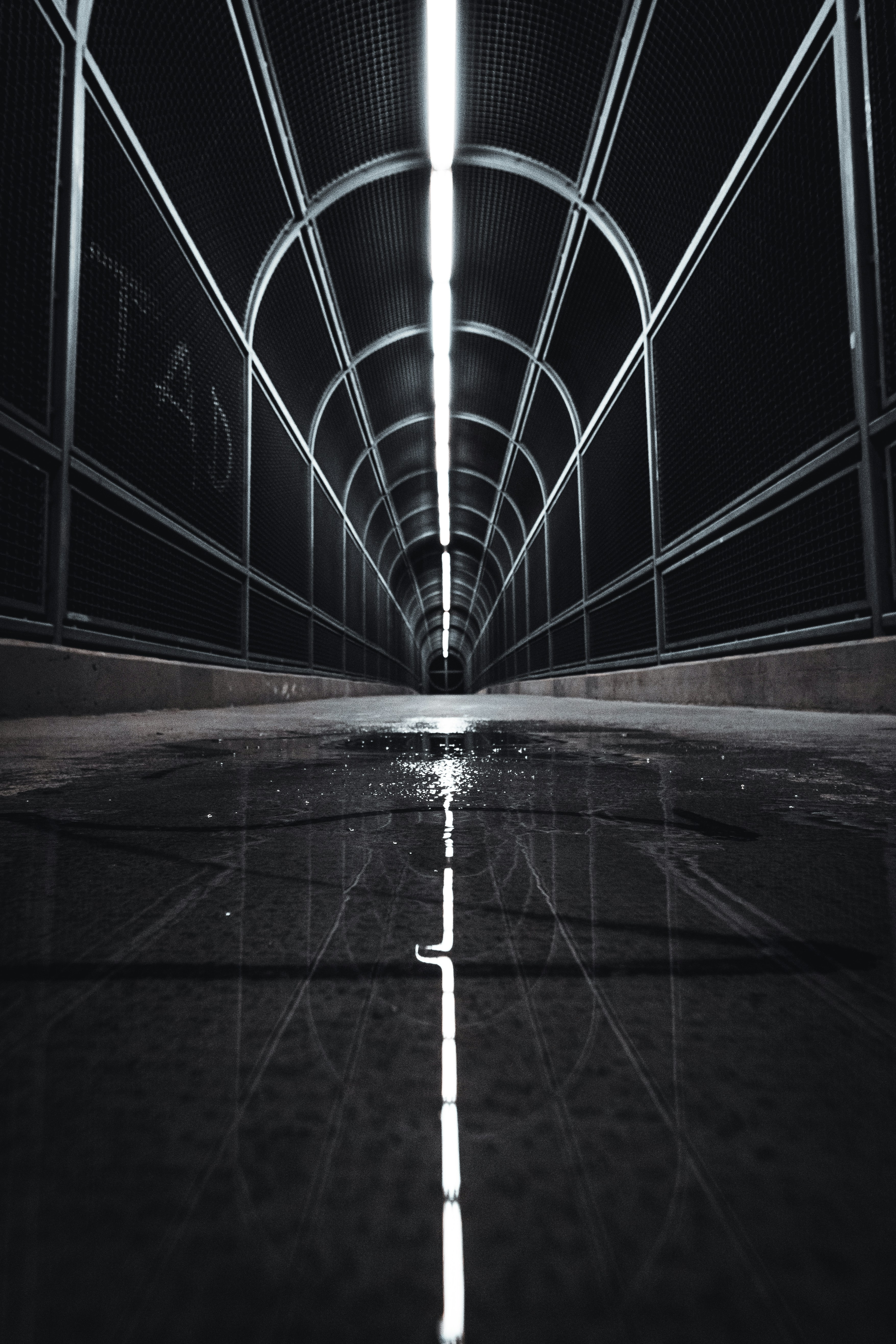 Photo by danny_lincoln