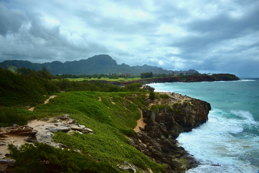 green grass field near body of water under cloudy sky during daytime