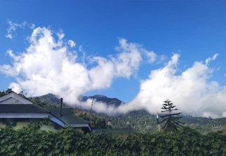 A scenic view of a cozy hotel room overlooking a lush Indian hill station.