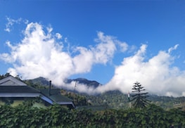 A scenic view featuring lush green hills and mountains under a bright blue sky filled with fluffy white clouds. In the foreground, there is a house with a green roof surrounded by dense foliage. A small Indian flag is visible on a pole near a coniferous tree.