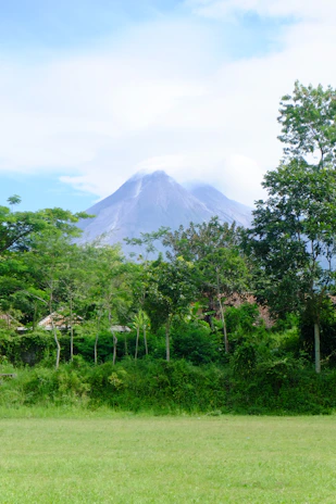 green trees near mountain under white clouds during daytime