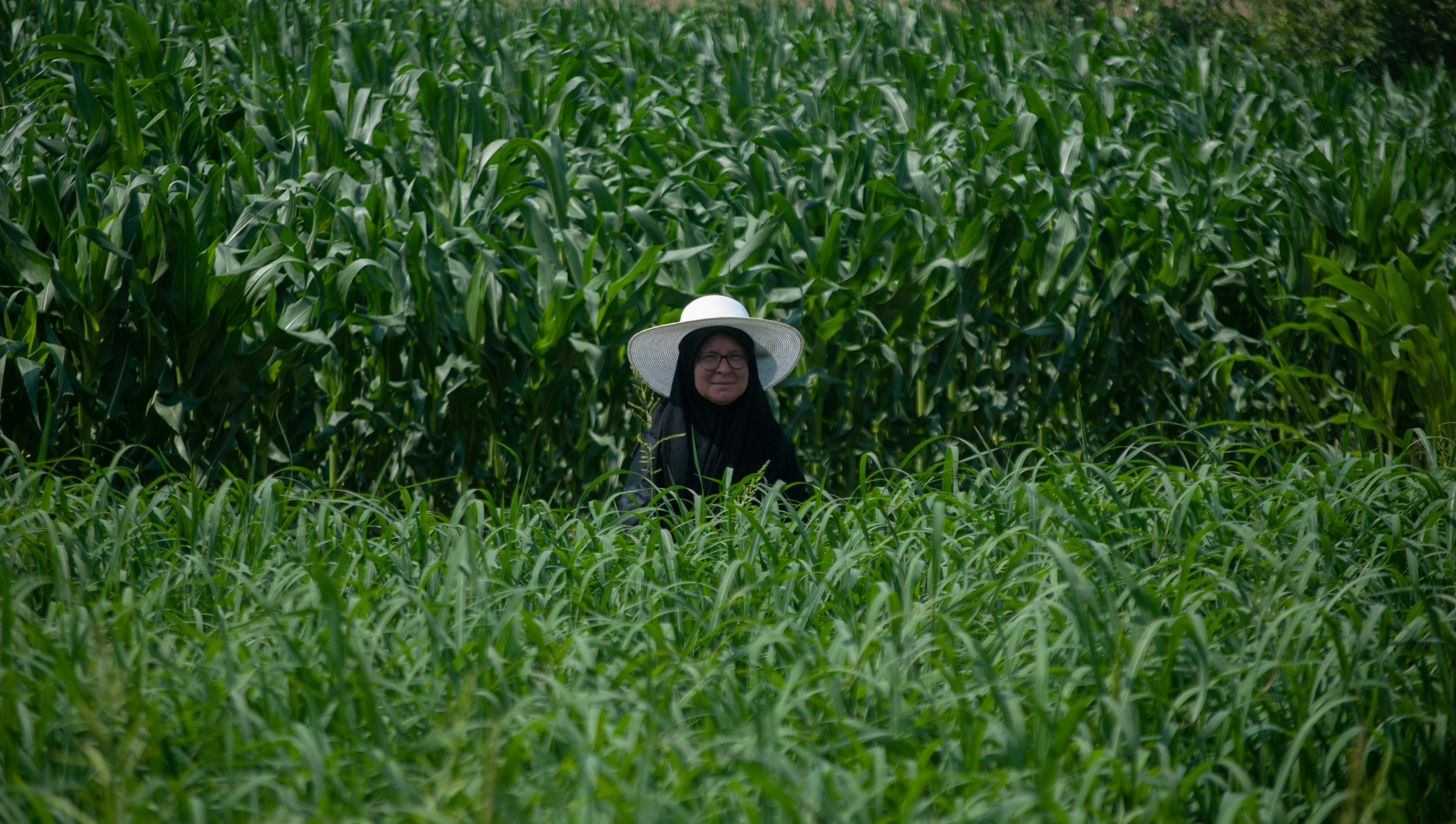 Quality testing process