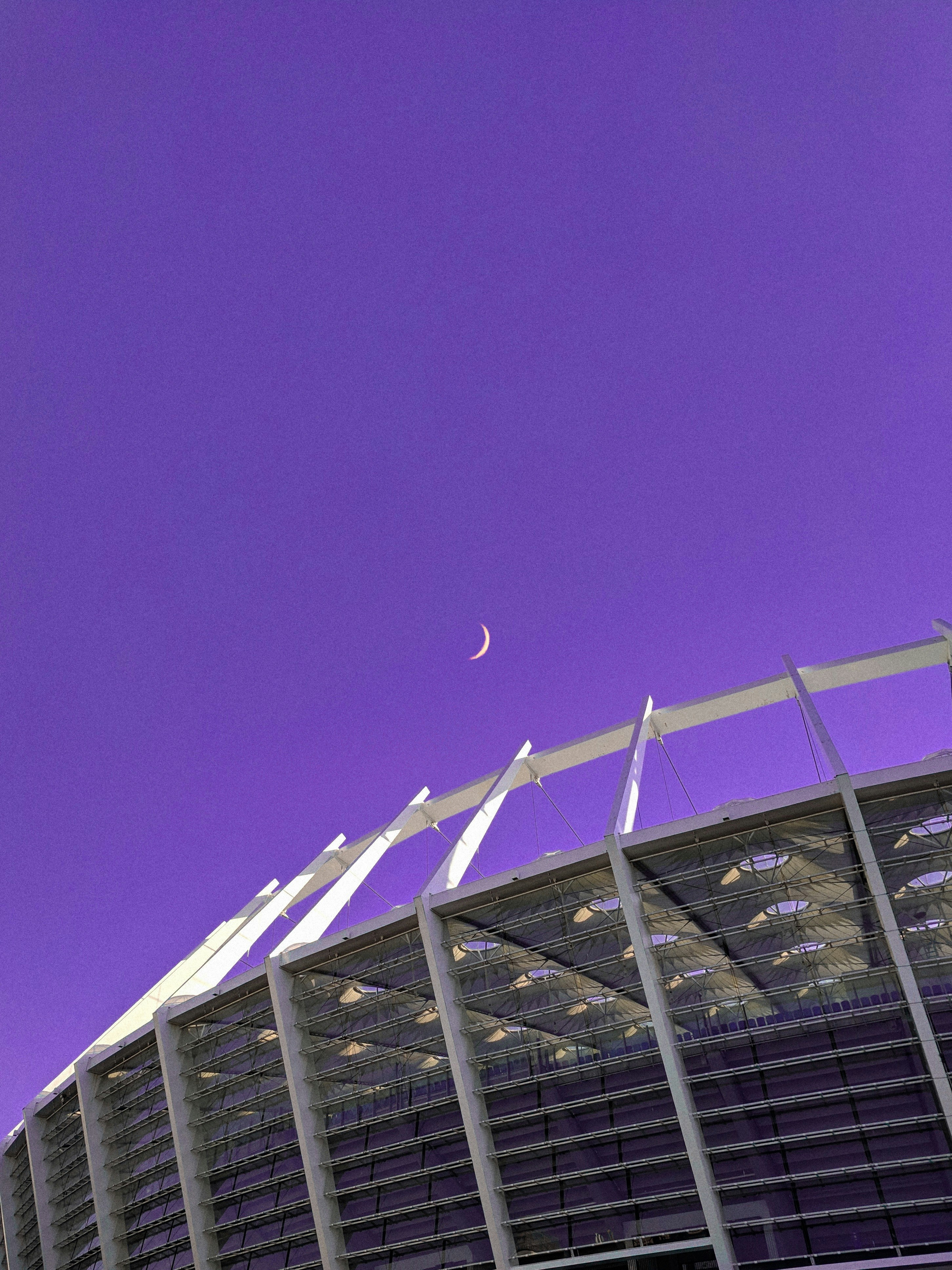 white bird flying over the building during daytime