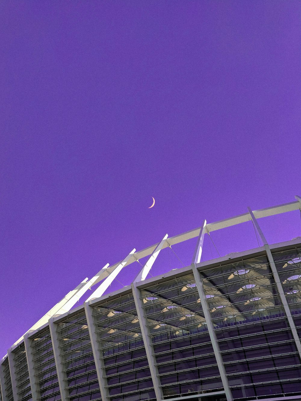 white bird flying over the building during daytime