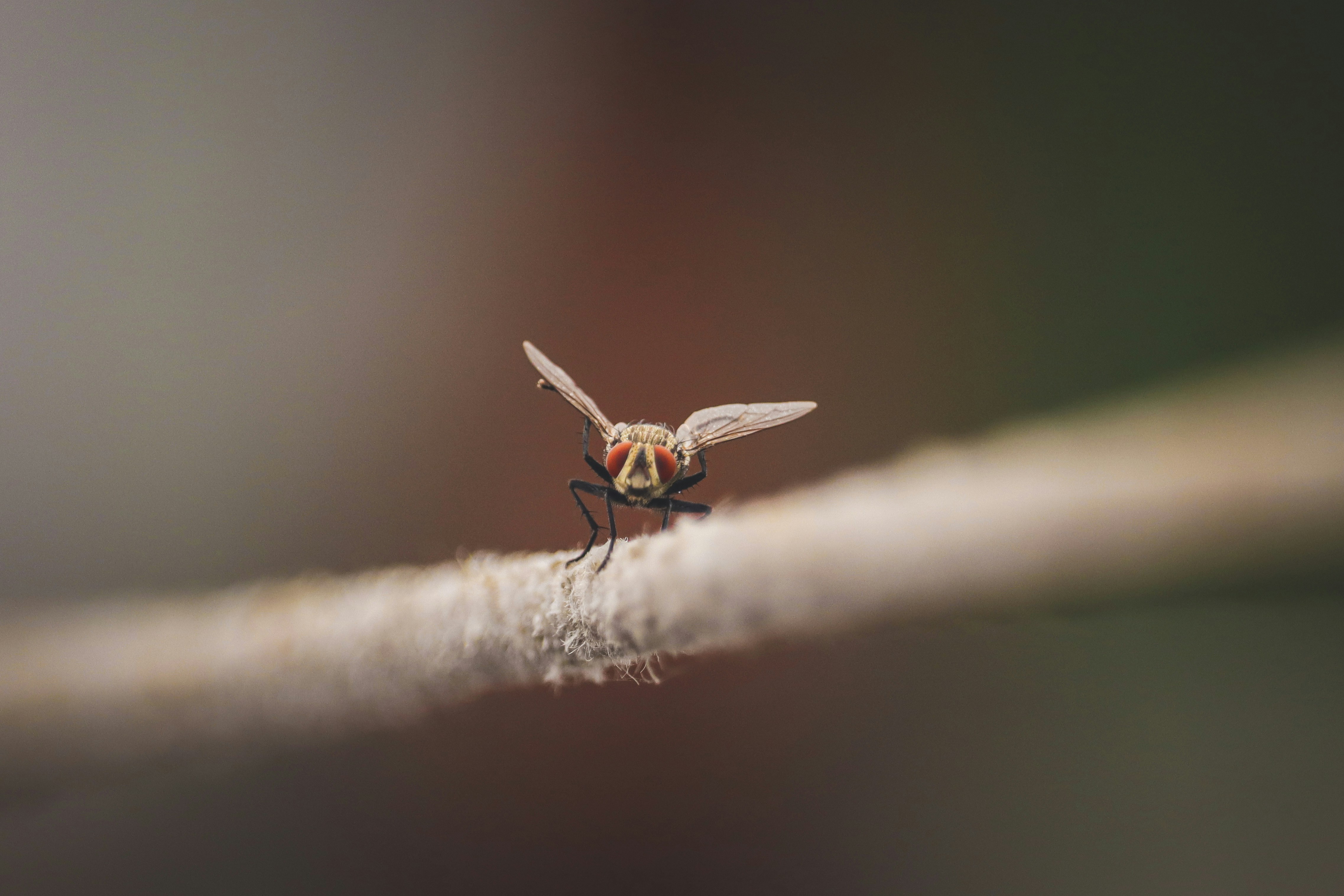 Photo by adnan_saifeee