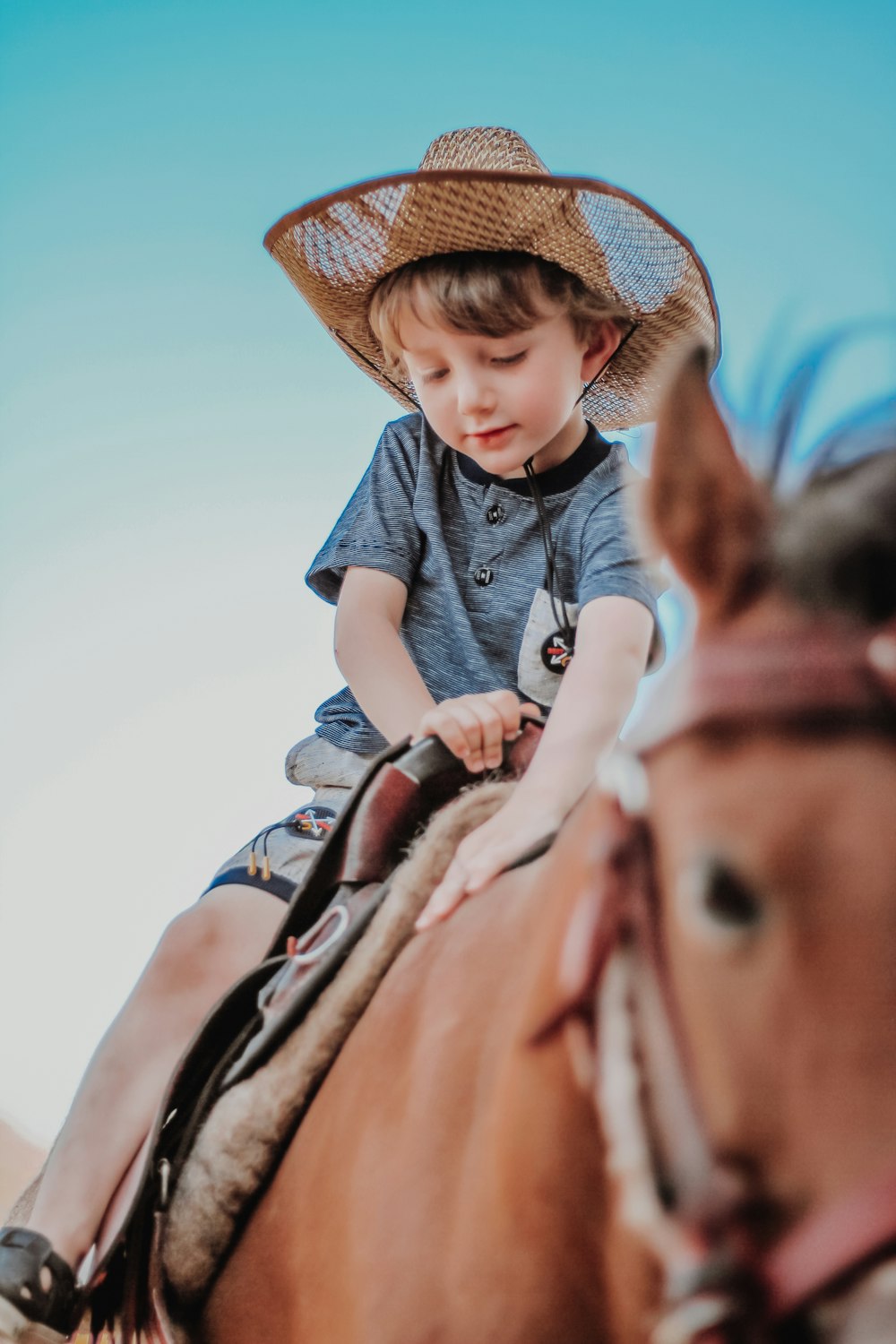 boy in blue and white polo shirt and brown cowboy hat riding brown horse during daytime