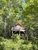 A wooden cabin elevated on stilts stands amidst a dense forest with vibrant green foliage. Sunlight filters through the leaves, casting dappled light on the structure. The cabin features a small terrace with outdoor furniture.