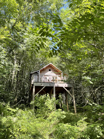 Close-up of a cozy glamping cabin terrace overlooking the river and forest, bathed in warm morning light