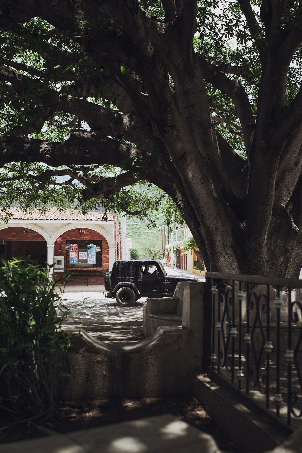 black suv parked near green trees during daytime