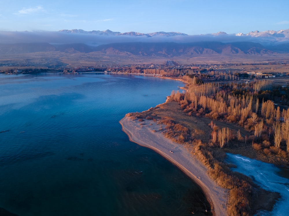 aerial view of body of water near trees during daytime