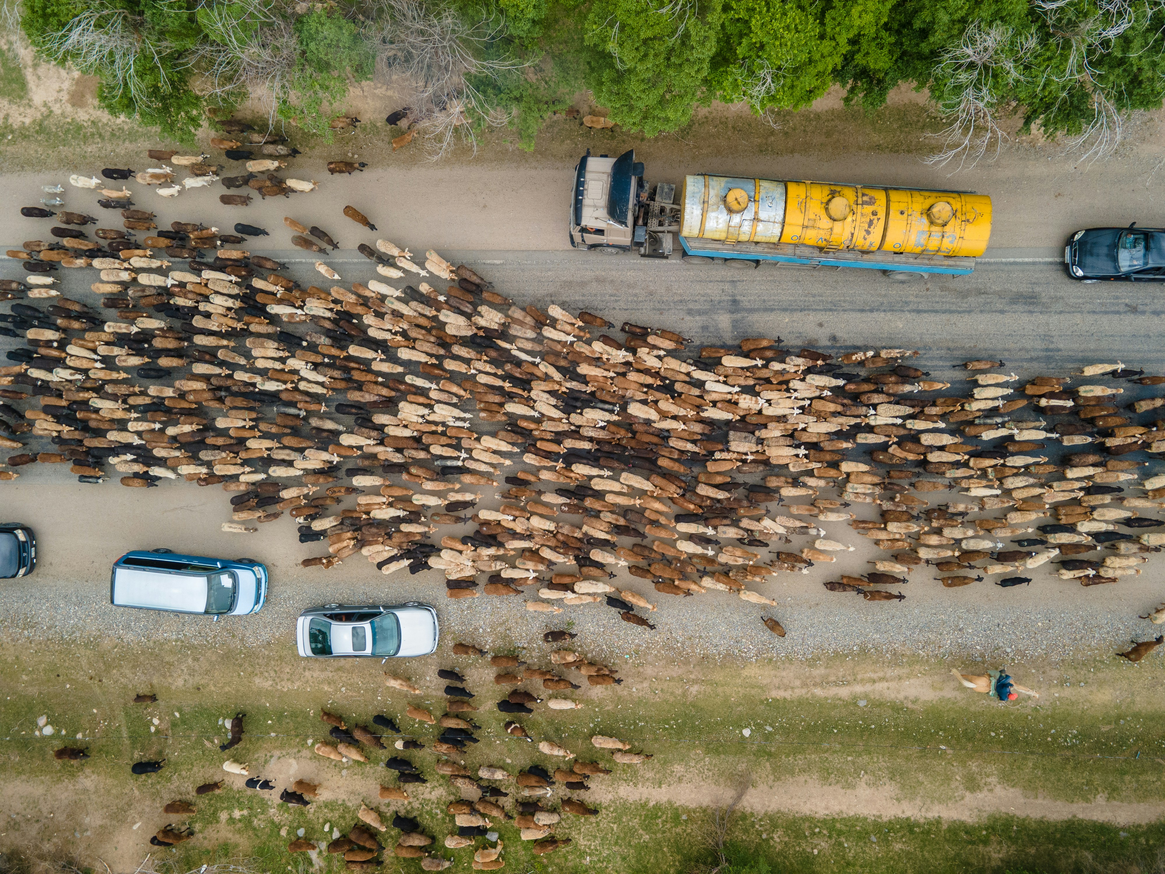 The Wool Wire | October 23, 2025