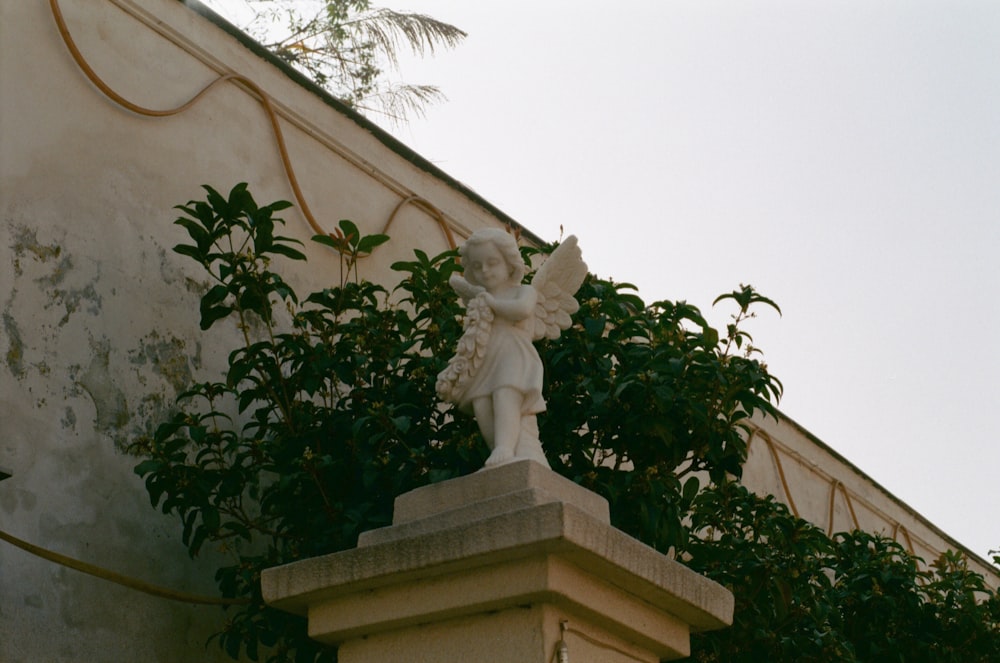 white concrete statue near green plants during daytime