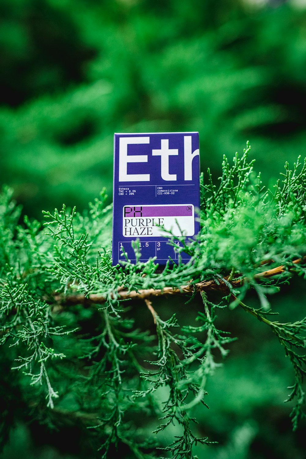 a purple and white sign sitting on top of a tree branch