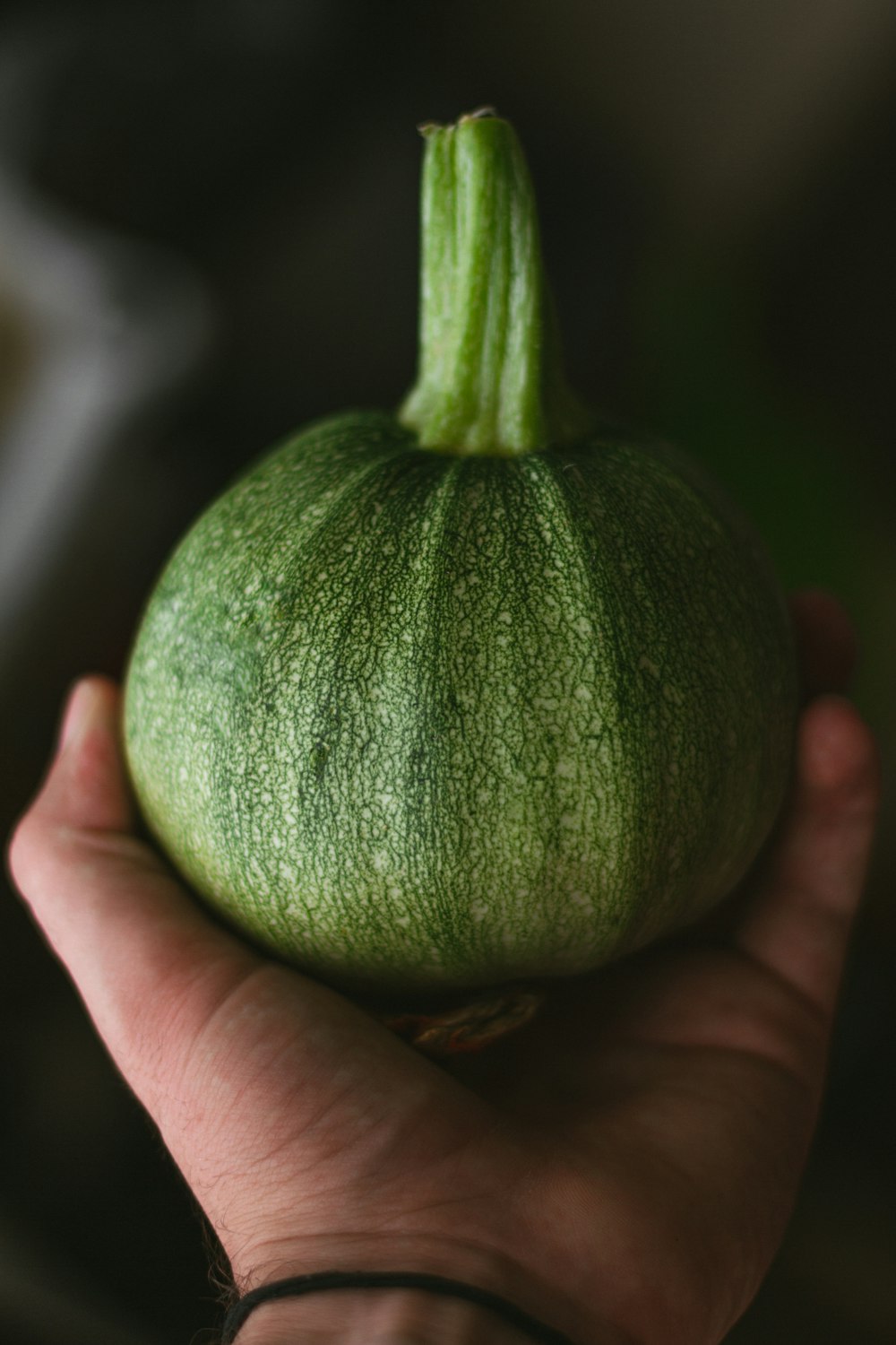 person holding green round fruit