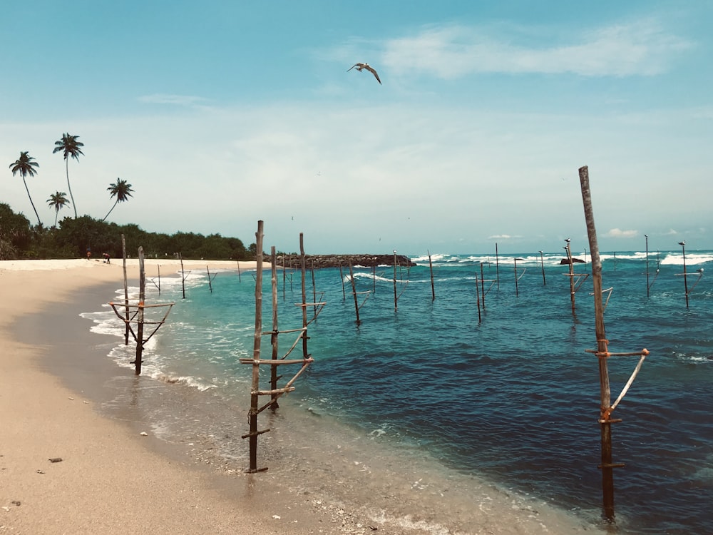 blue wooden post on beach during daytime