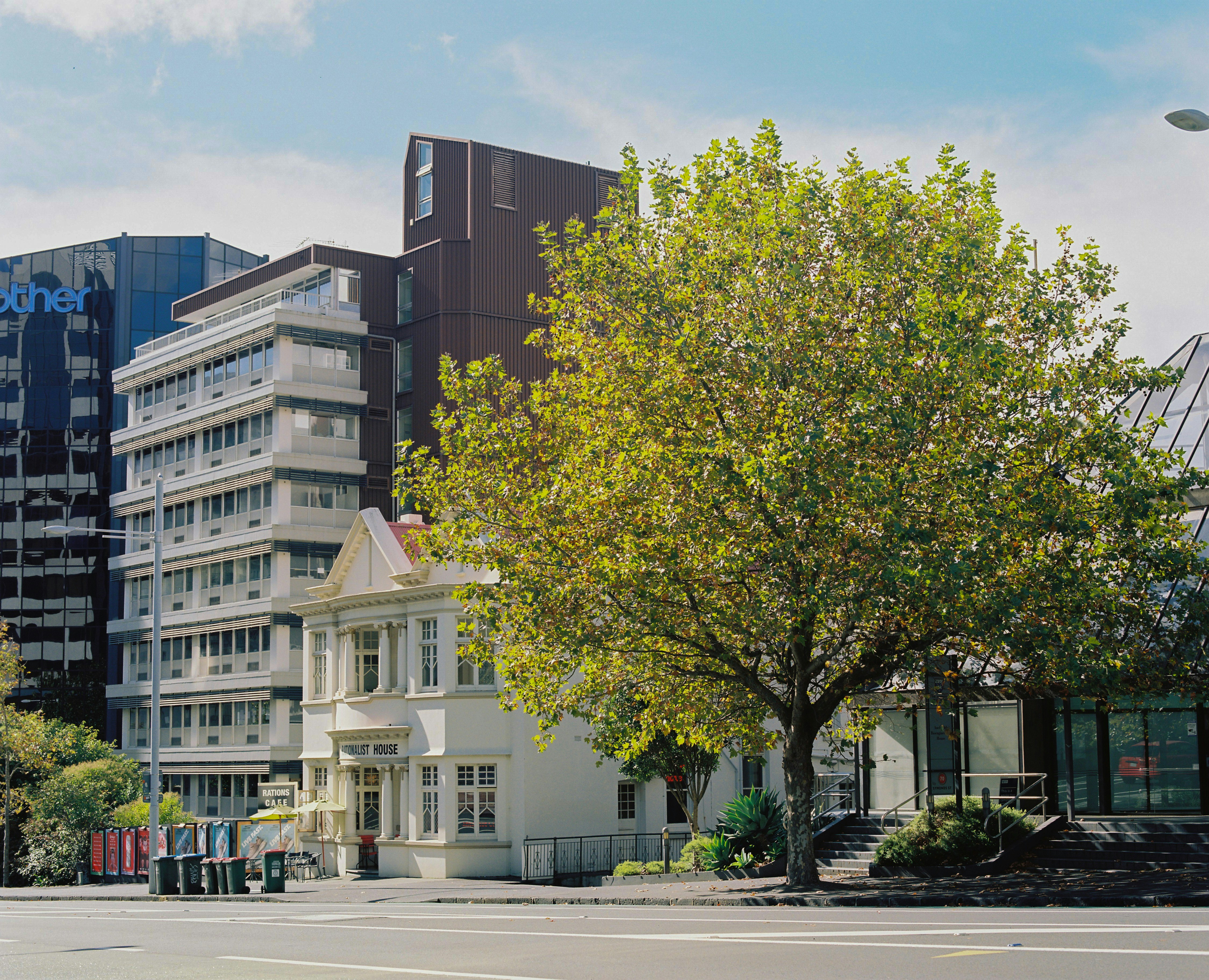 green tree in front of white concrete building during daytime