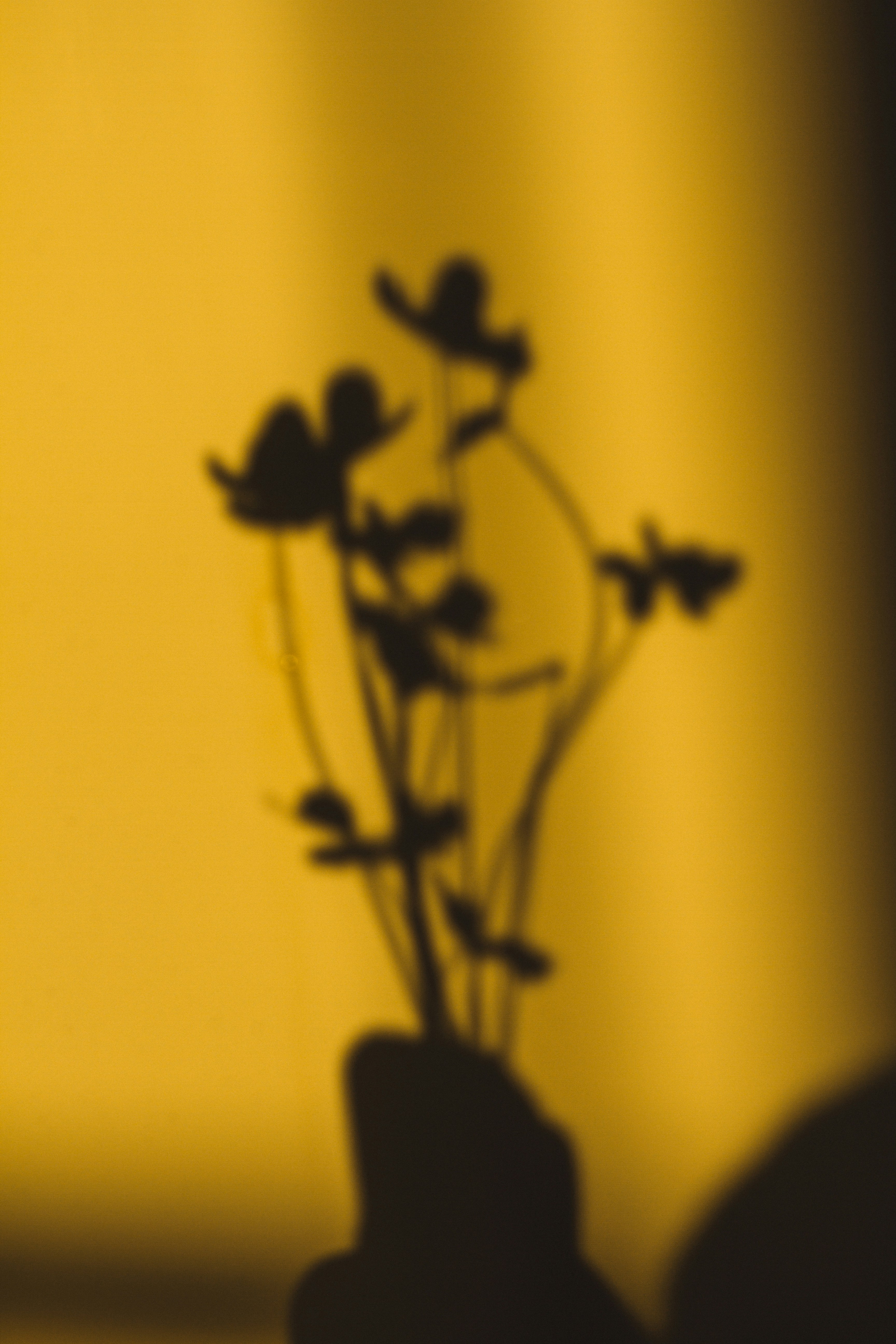 Photo by dhayaeddinebentaleb