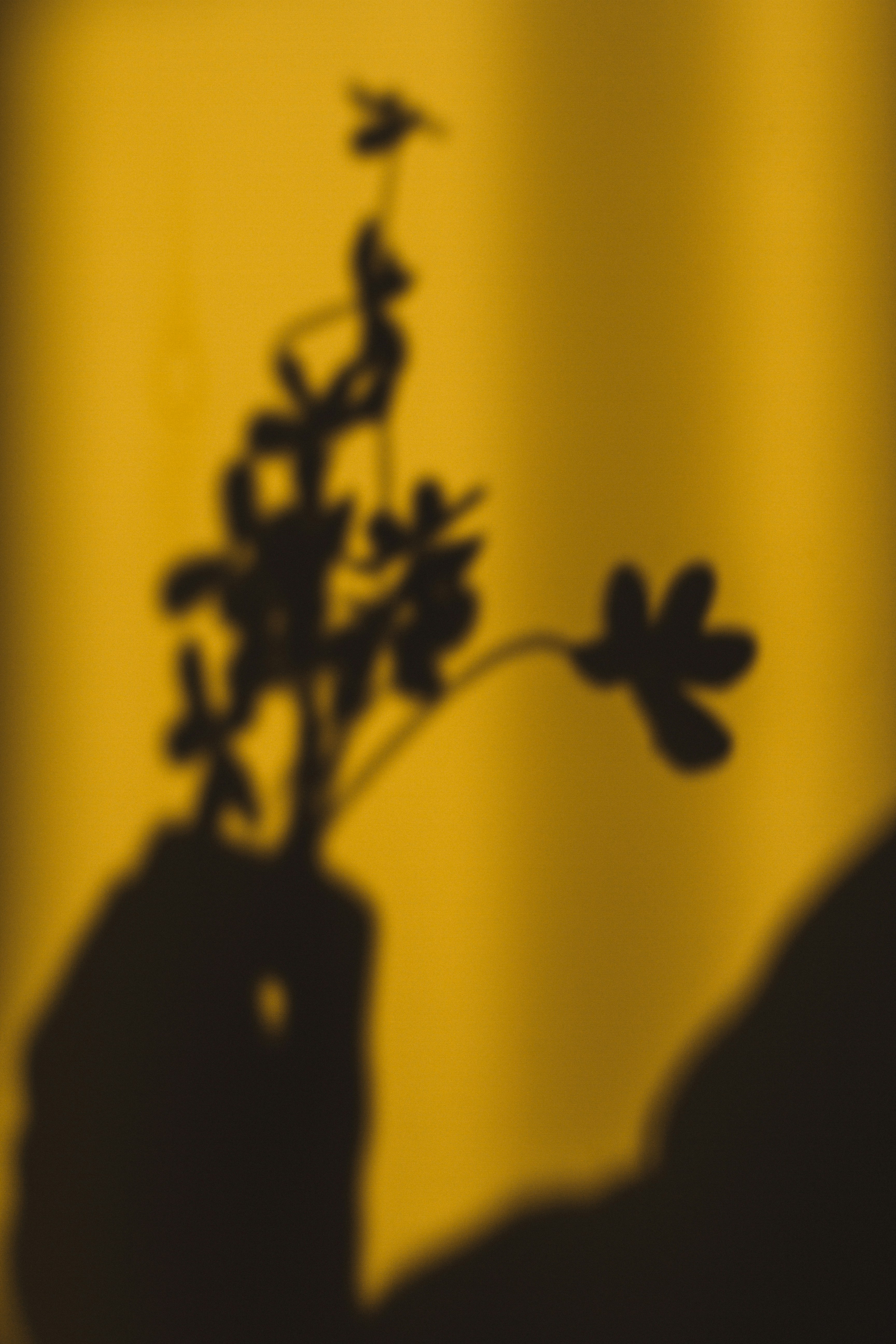 Photo by dhayaeddinebentaleb