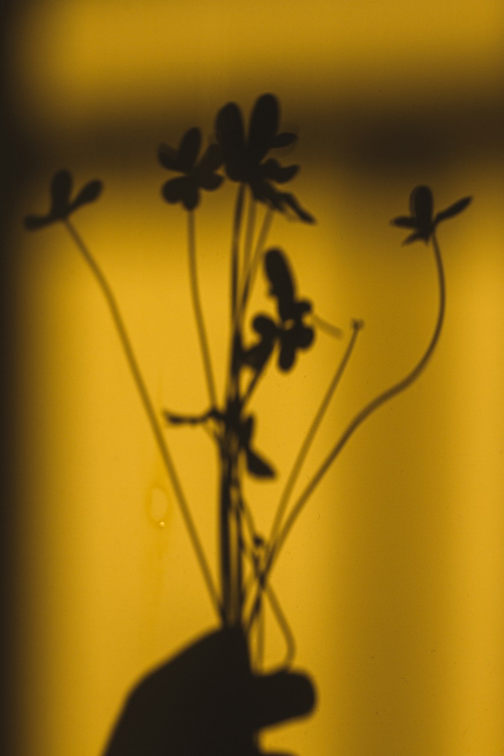 黄色の背景に黒い花