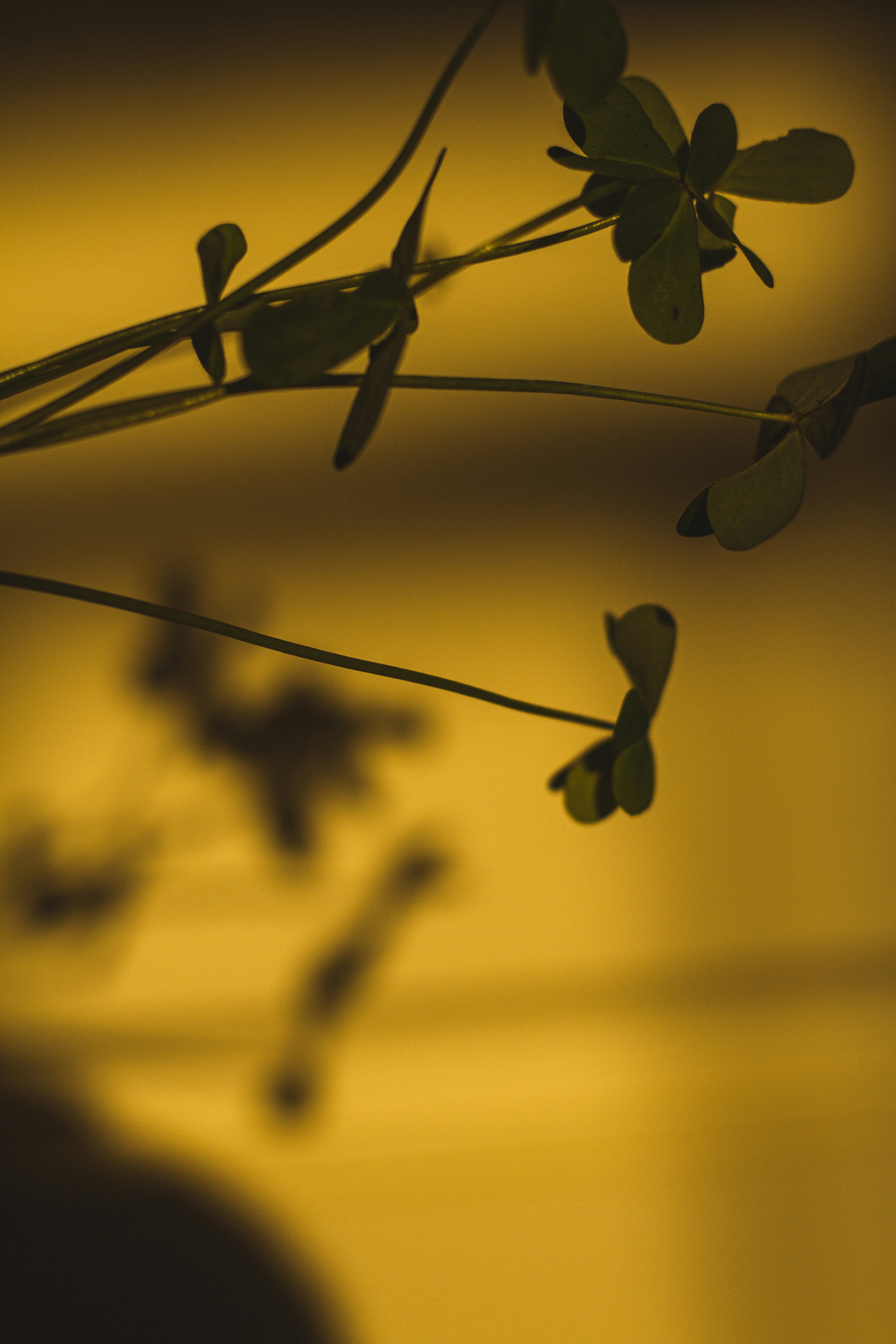 Photo by dhayaeddinebentaleb