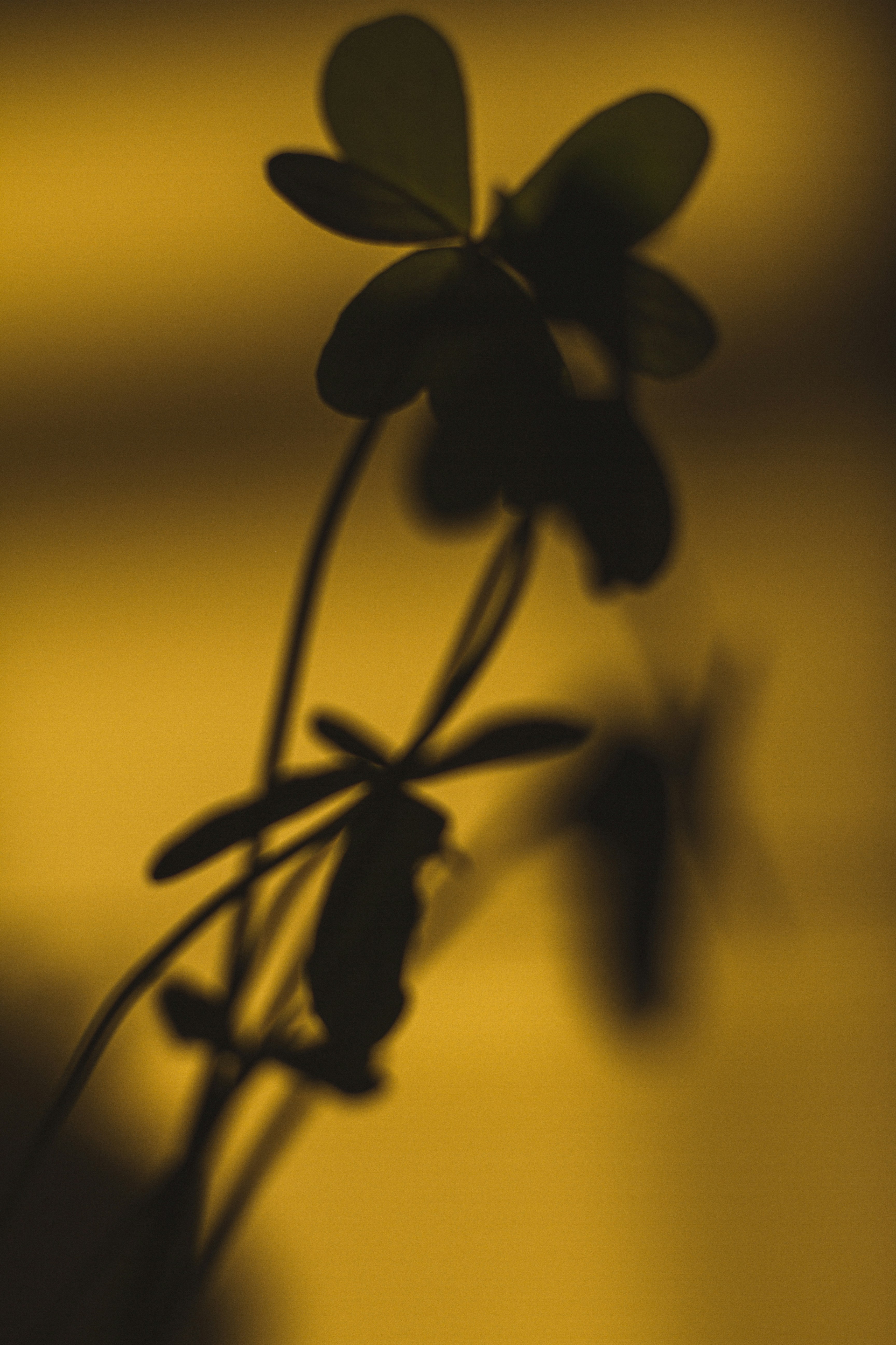 Photo by dhayaeddinebentaleb