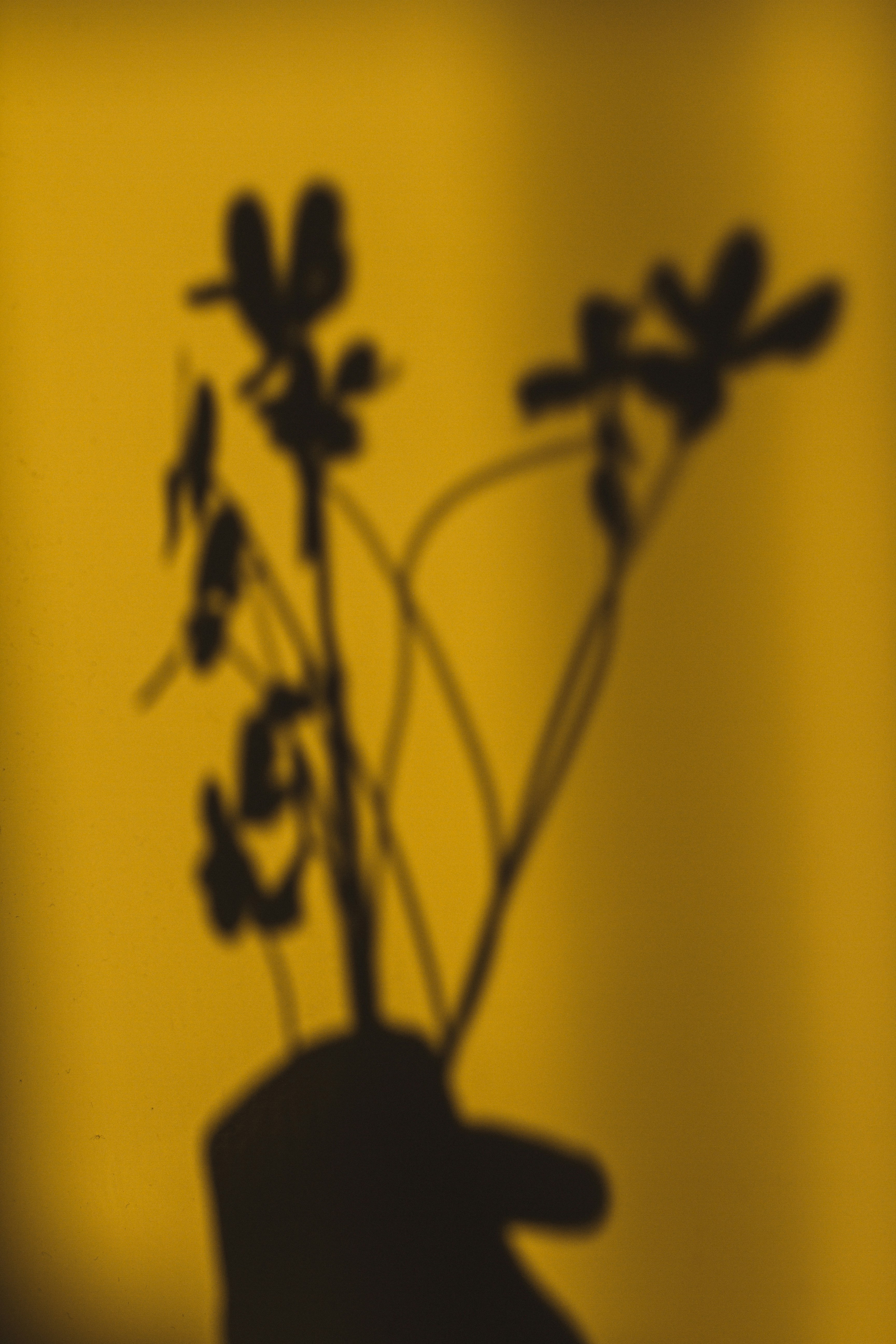 Photo by dhayaeddinebentaleb