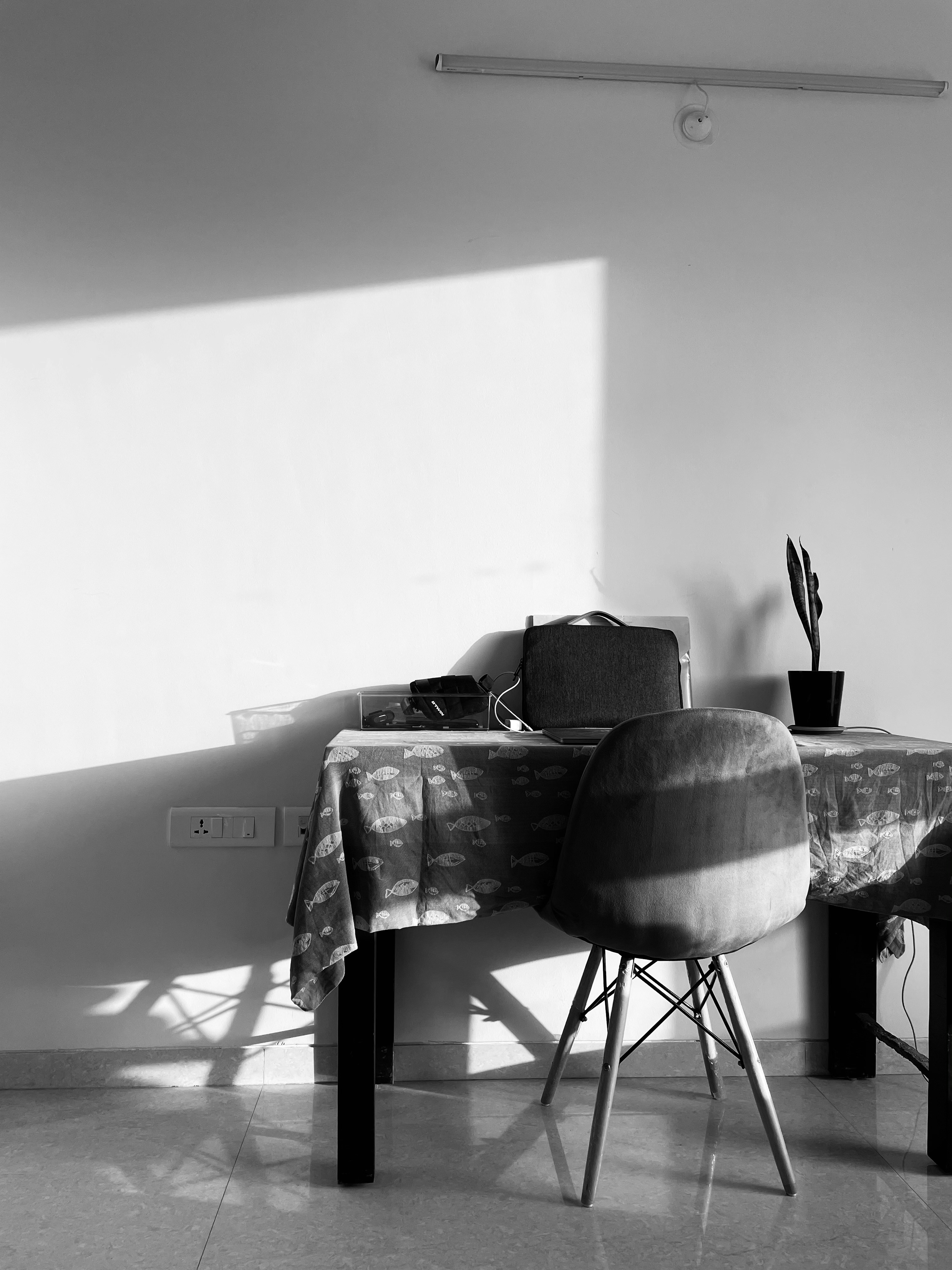 Photo by tanmaypadalikar