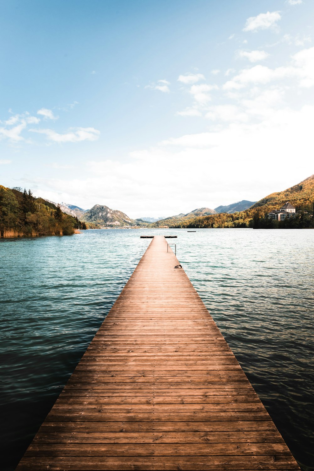 brown wooden dock on lake during daytime