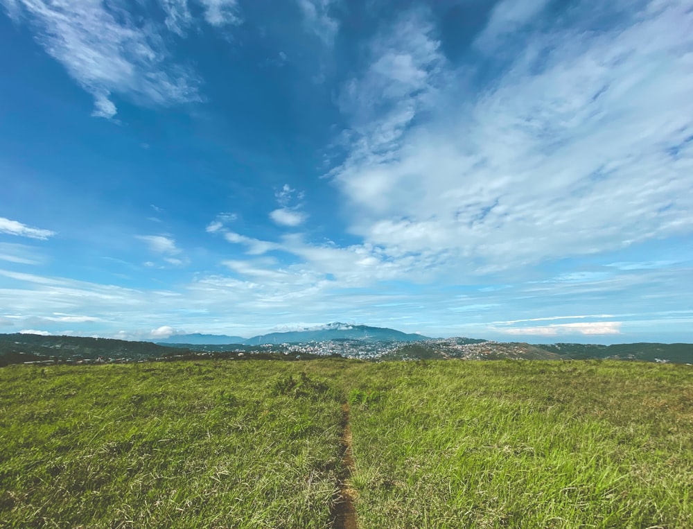 green grass field under blue sky during daytime