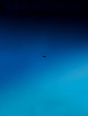 A vibrant phoenix soaring upward against a gradient sky of light blue and dark slate gray.