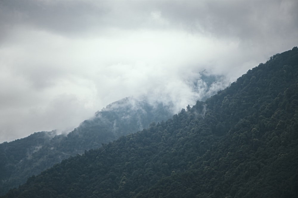 árvores verdes na montanha sob nuvens brancas durante o dia