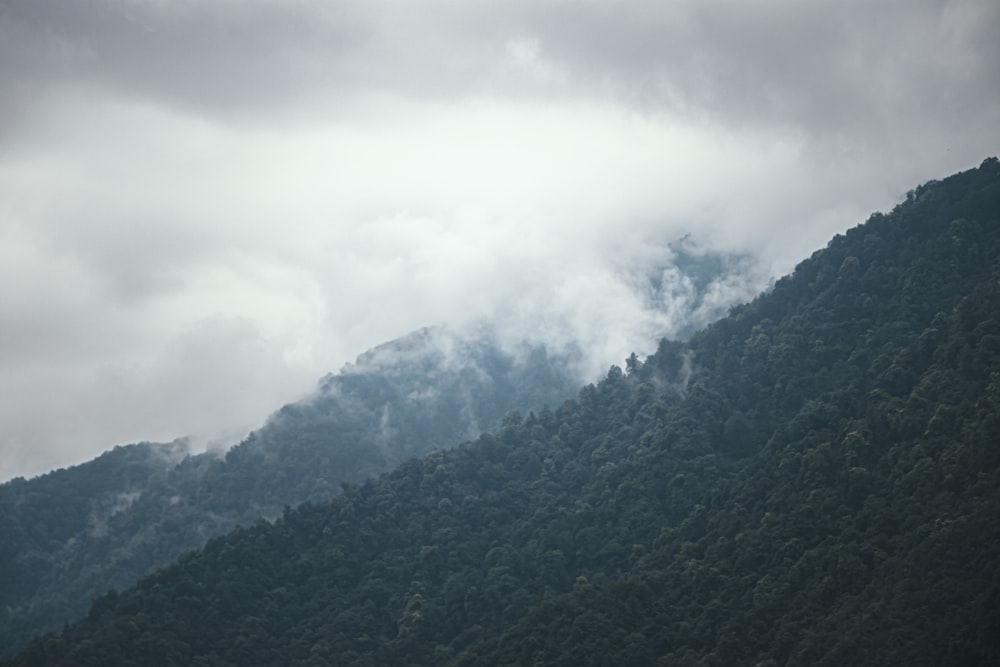 green trees on mountain under white clouds during daytime