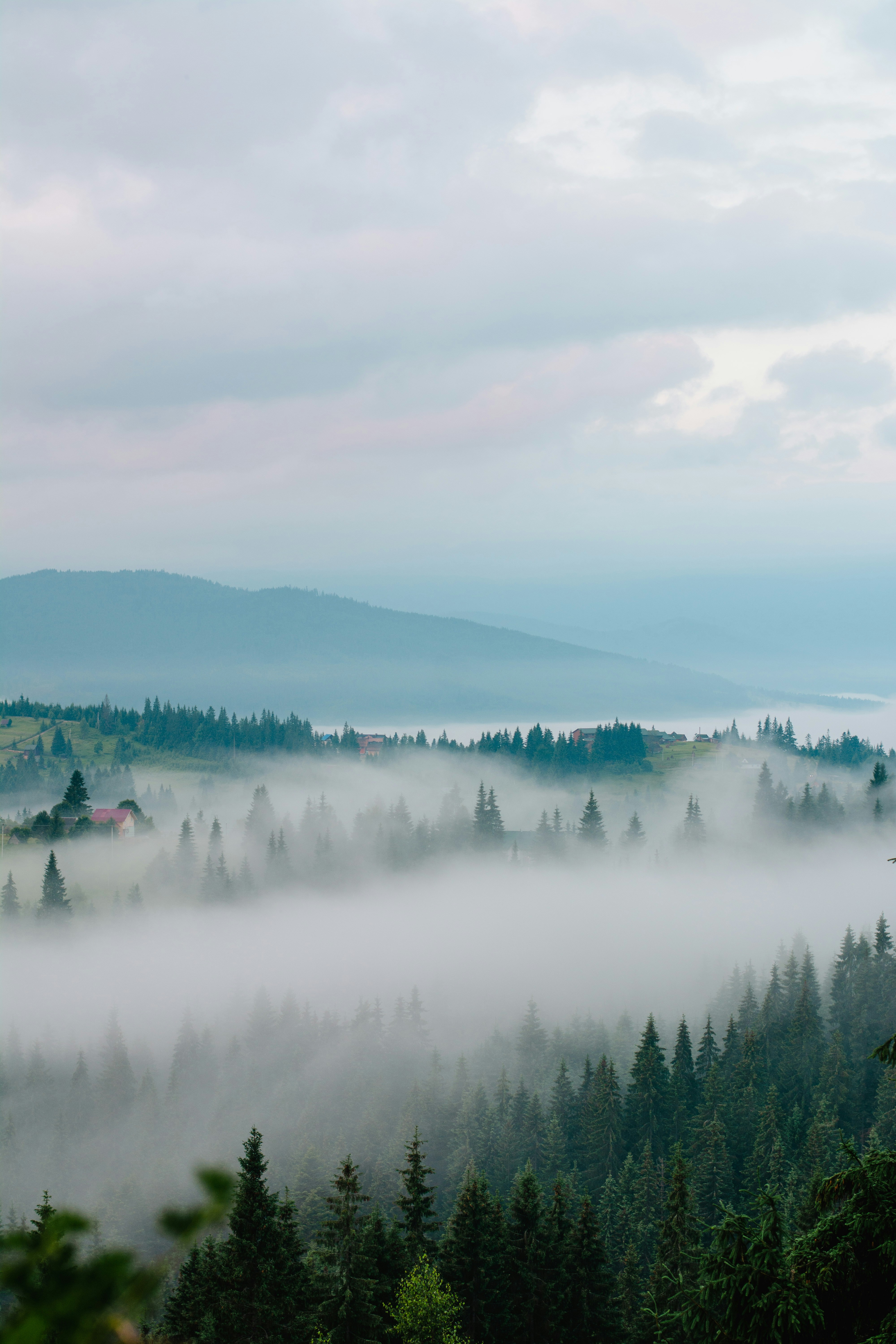 Photo by eugenivy_now