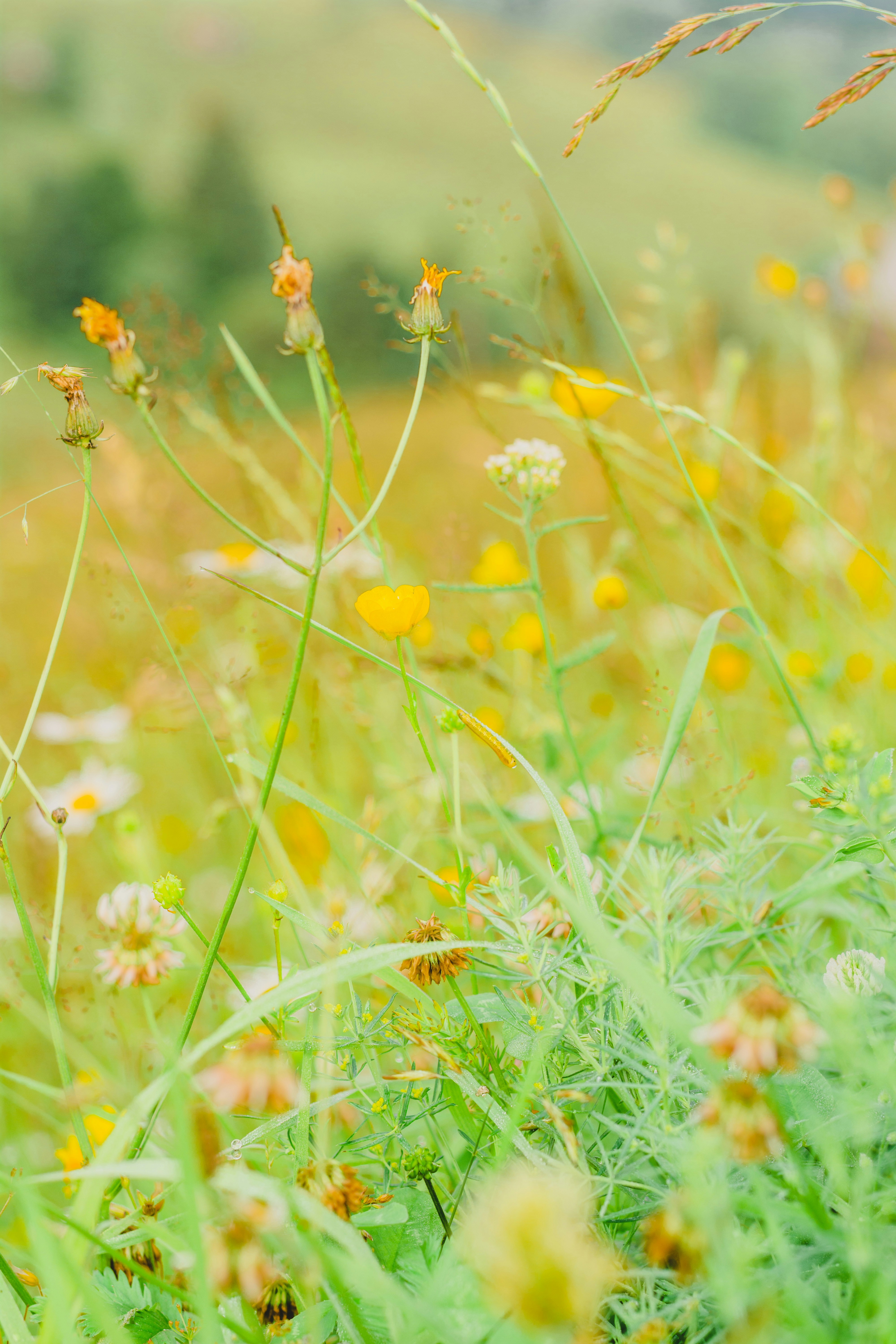 Photo by eugenivy_now