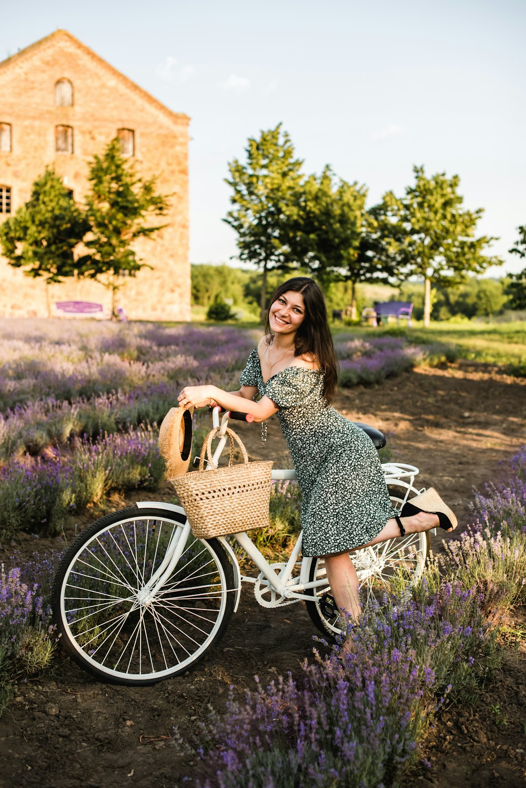 woman in black and white dress sitting on white and black wheelchair on purple flower field