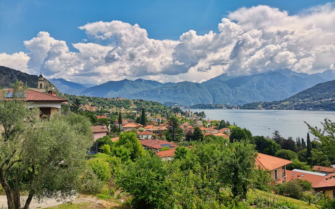 houses near green trees and body of water under white clouds and blue sky during daytime